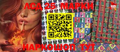 гидропоника Краснодар