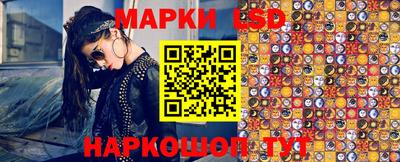 гидропоника Краснодар