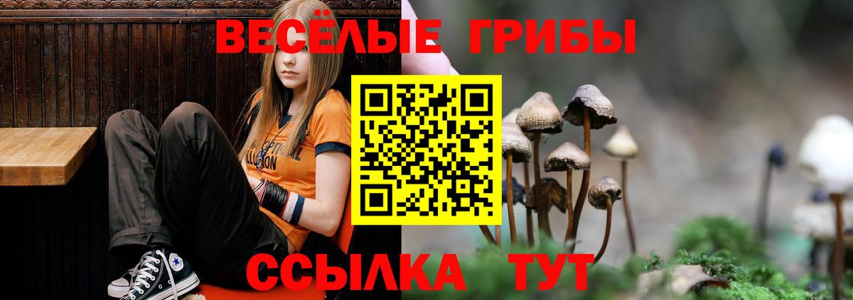 Галлюциногенные грибы Psilocybine cubensis  Вход с VPN  Армавир 