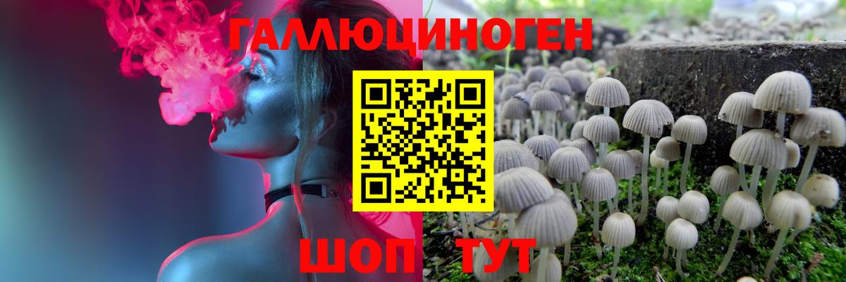 Псилоцибиновые грибы прущие грибы Армавир